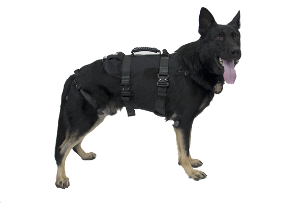 CMC K9 Proseries Rappel Harness, rappel harness for working dogs