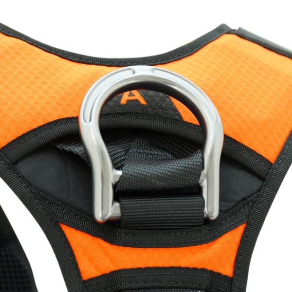 KONG X-FIVE HARNESSES– – Now available at MTN Shop US. - imagen 3