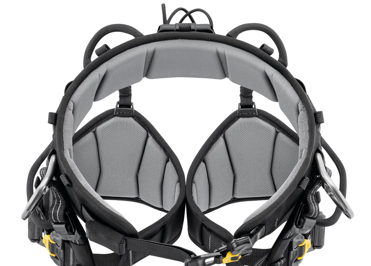 Petzl SEQUOIA harness, top view showing 3D foam padding on waistbelt and leg loops - imagen 3