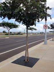 Vestil Manufacturing Corp Tree Grates– – Now available at MTN Shop US. - imagen 5