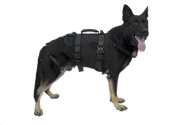 CMC K9 Proseries Rappel Harness, rappel harness for working dogs