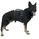 CMC K9 Proseries Rappel Harness
