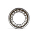 CM Cylindrical Roller Bearing