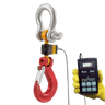 Eilon Engineering Ron Crane Scales™ Ron 2000 Wired Crane Scale– Ron Crane Scales™ Ron 2000 Wired Crane Scale – Now available at MTN Shop US.