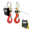 Eilon Engineering Ron Crane Scales™ Ron 2125 Wired Crane Scale with 1"/25mm Attachable Display– Ron Crane Scales™ Ron 2125 Wired Crane Scale with 1"/25mm Attachable Display – Now available at MTN Shop US.